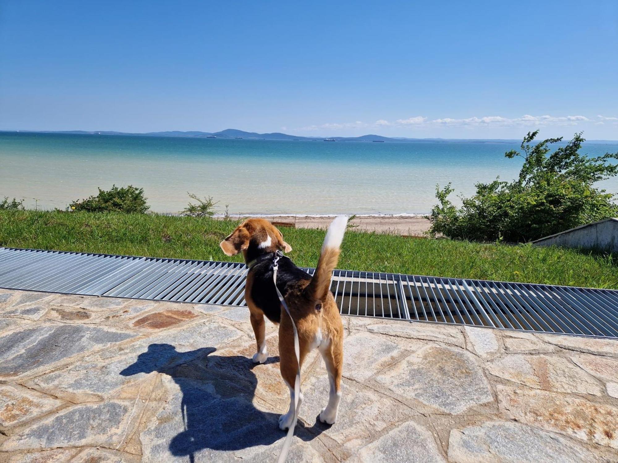 Sarafovo Resort Deluxe Burgas Zewnętrze zdjęcie